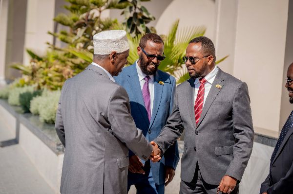 Madaxweyne ku-xigeenka Jamhuuriyadda Somaliland Mudane Maxamed Cali Aw Cabdi ayaa maanta magaalada Hargaysa ka Daah-furay Shirweynaha 8-aad ee Dib u eegista Qorshaha Waxbarashada Qaranka.
